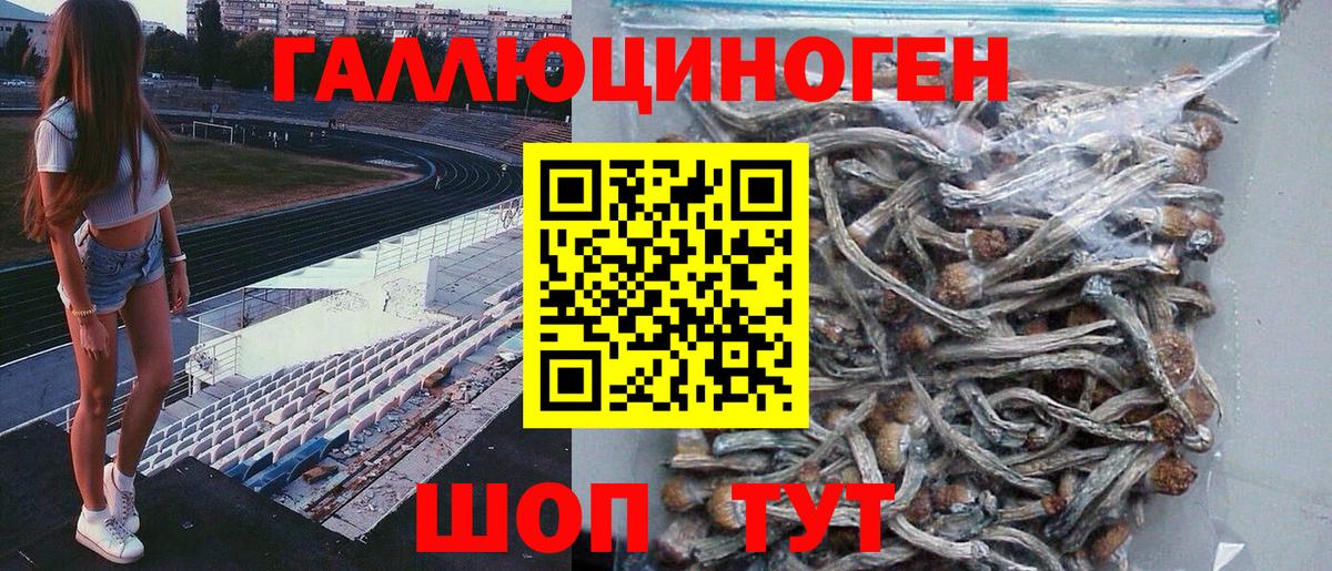 Галлюциногенные грибы Cubensis  Вход с VPN  где продают наркотики  Балашиха 